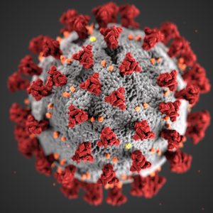 Coronavirus, dalla vitamina C in pillole al tè caldo: le fake news che corrono sul web